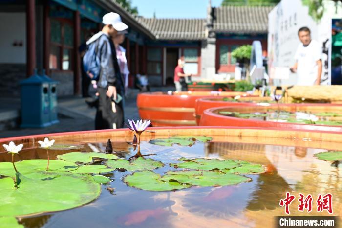 k9win娛樂：東西問丨馮迺恩：恭王府博物館如何曏海外闡釋“中式生活美學”？