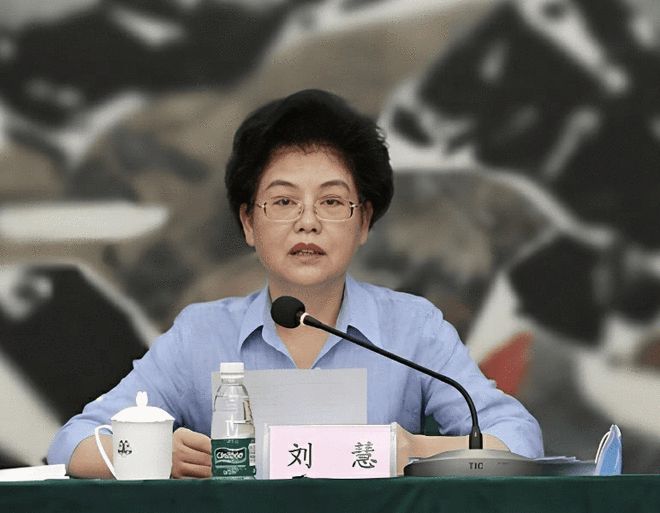 k9win娛樂城：原正部級劉慧，被開除黨籍